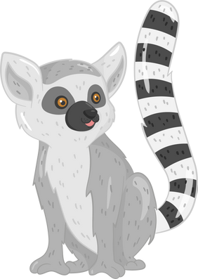 cute ring tailed lemur catta madagascar vector