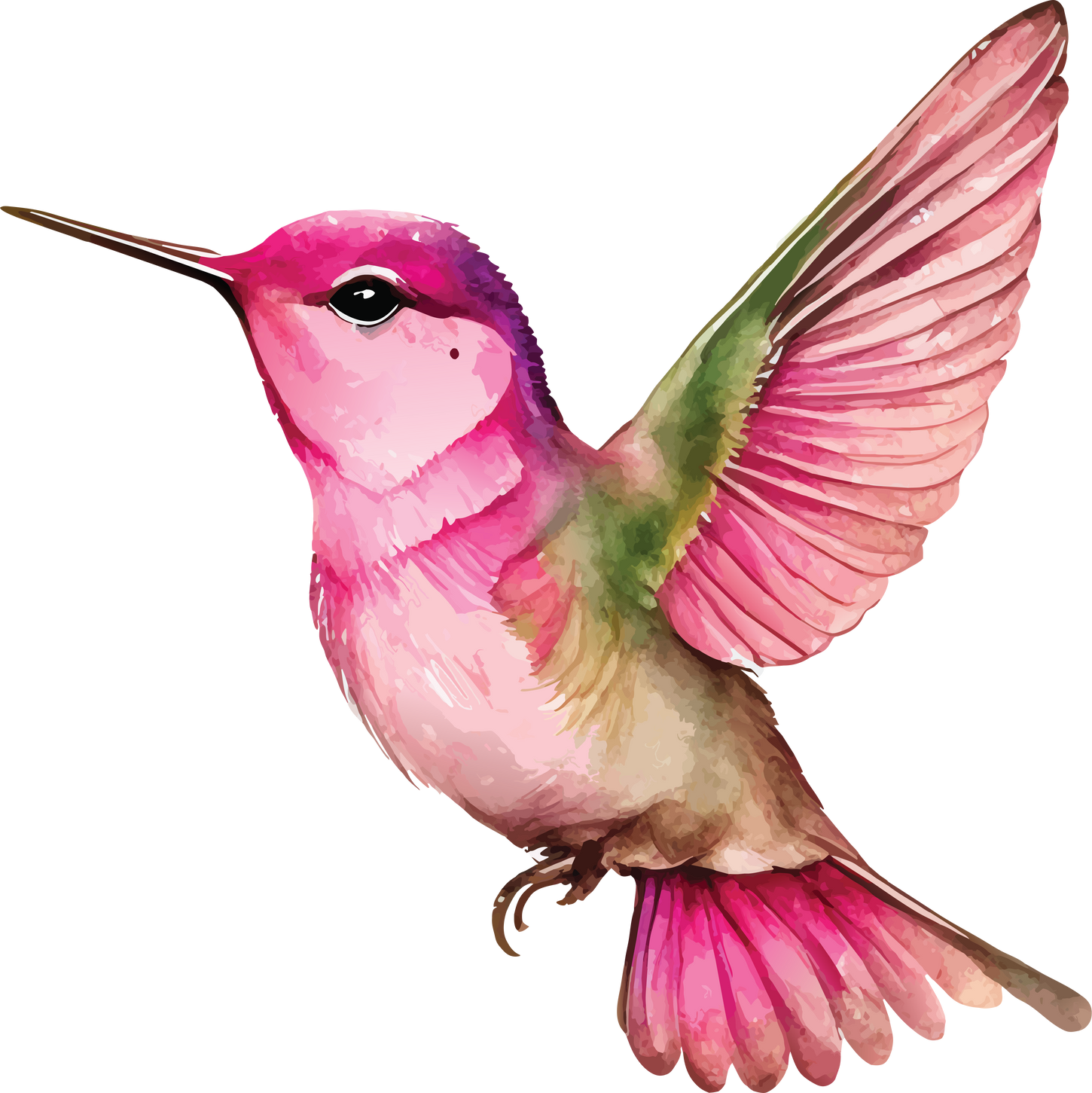 Watercolor Ruby-throated hummingbird