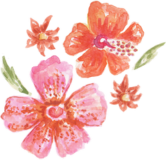 Hand-Painted Watercolor Hibiscus and Santan Filipino Flower Arrangement Illustration