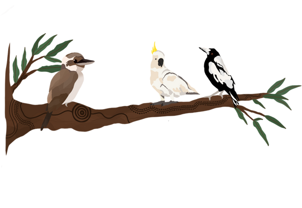 Native Australian Birds on a Branch