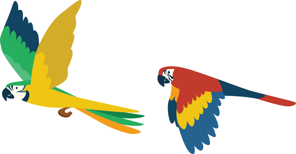 Cartoon parrots flying