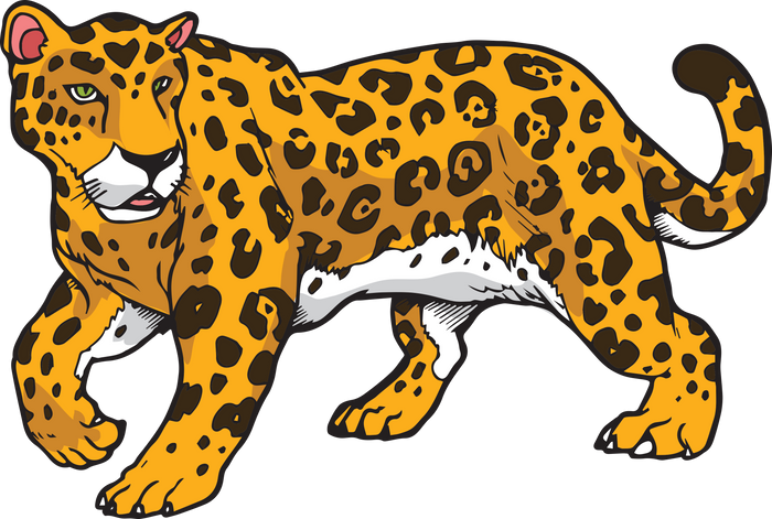 Leopard Jaguar Wild Animal Illustration